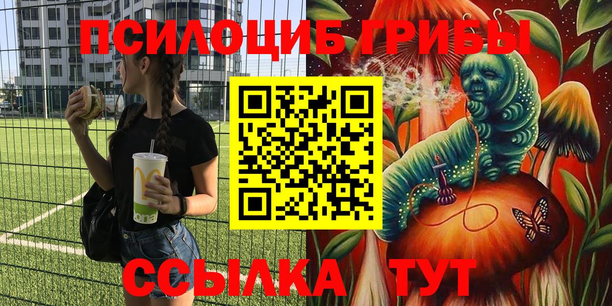 Галлюциногенные грибы Psilocybine cubensis Нефтеюганск